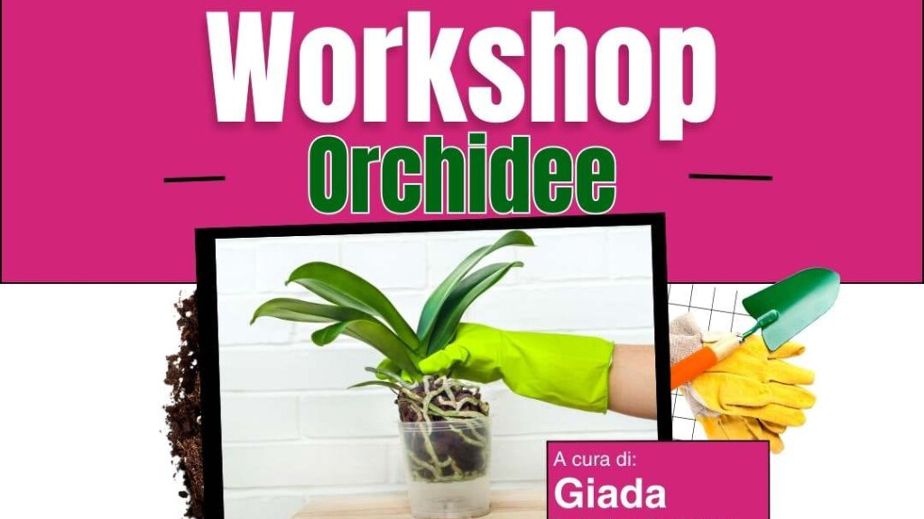 Workshop Orchidee
