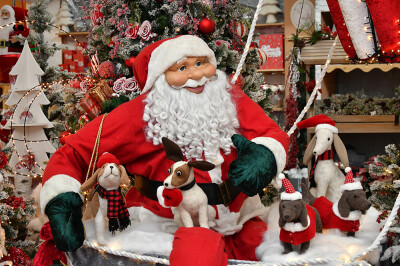 Inaugurazione Villaggio di Babbo Natale - Babbo Natale